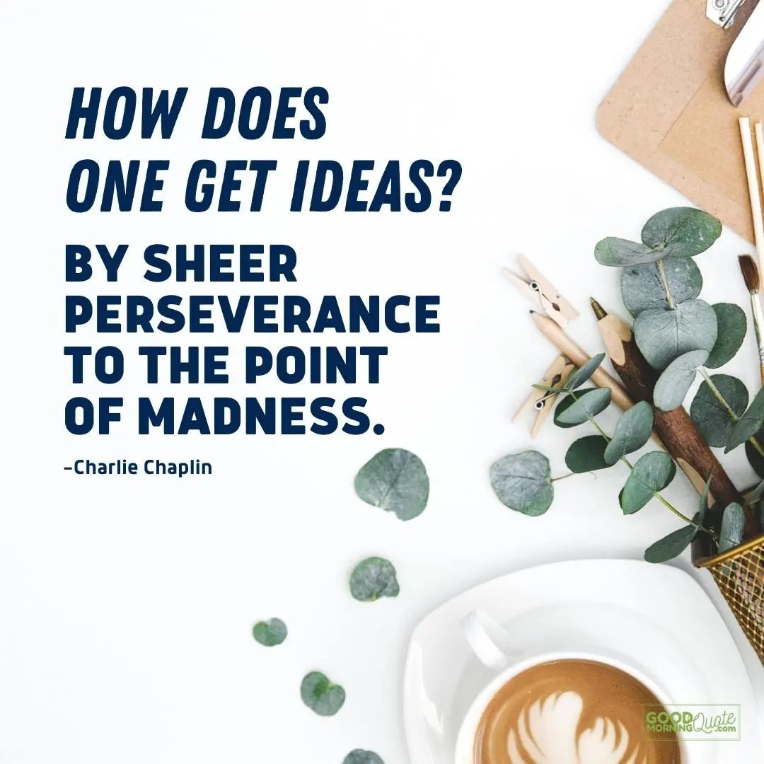 by sheer perseverance to the point of madness - charlie chaplin quote