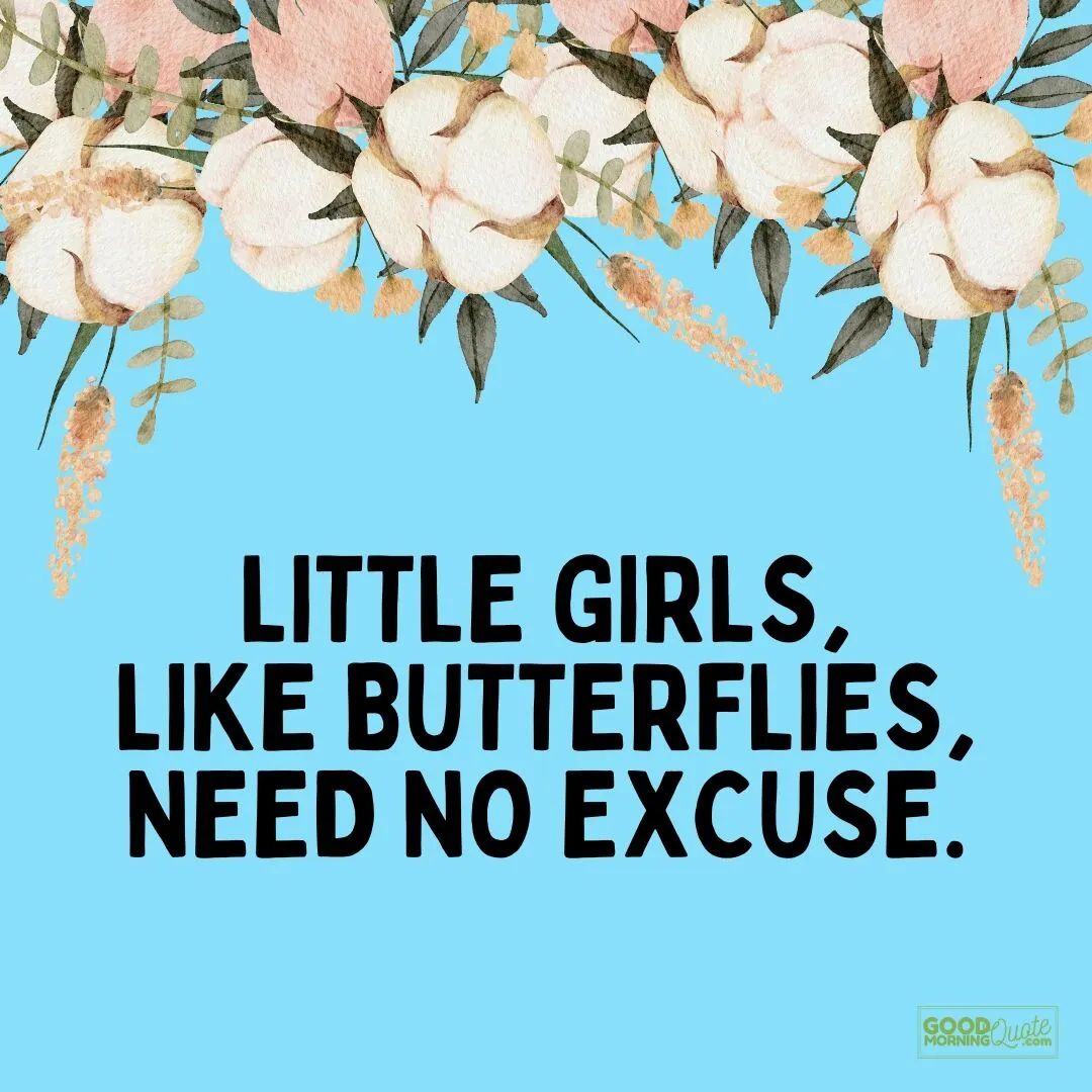 little girls need no excuse quote