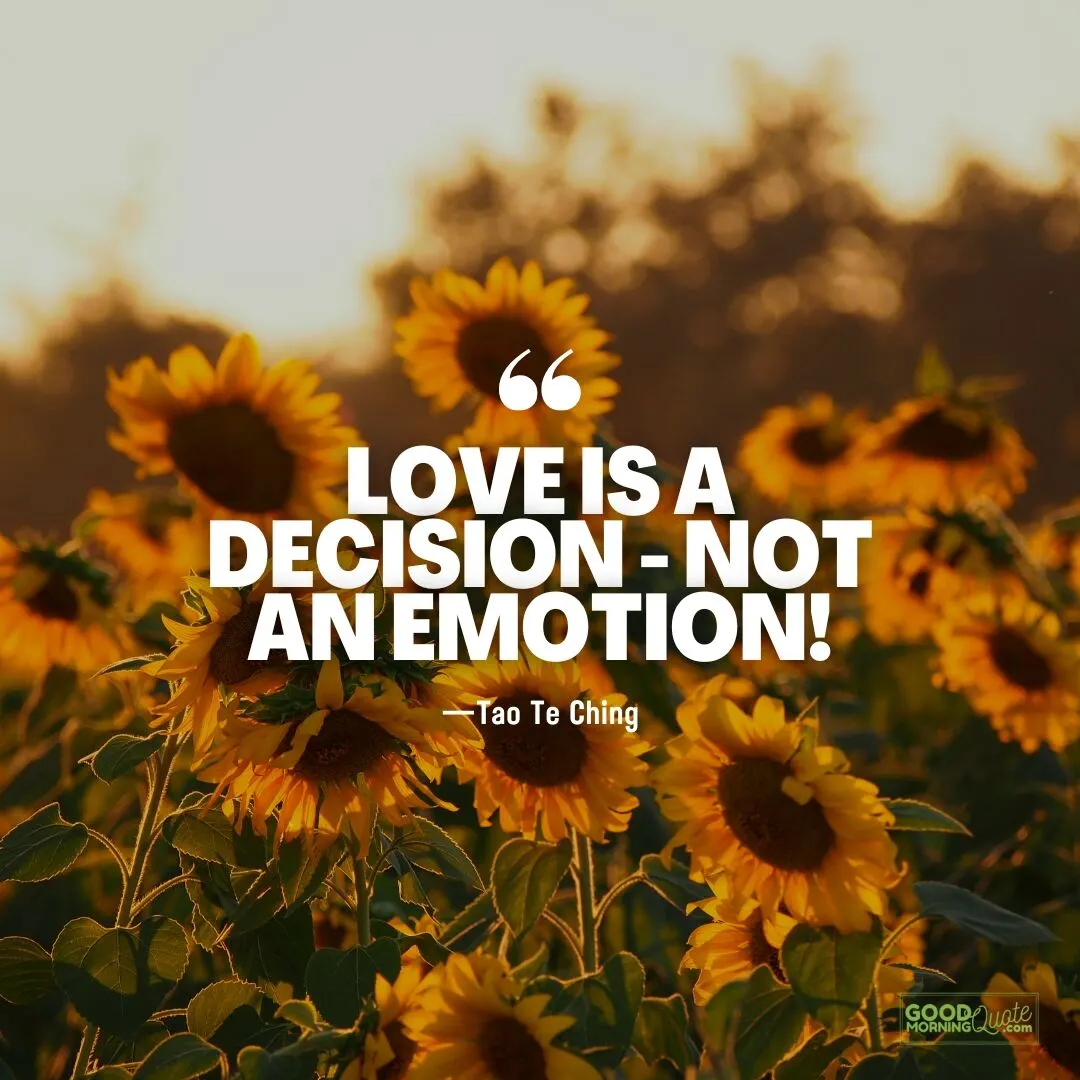 love is a decision not an emotion quote