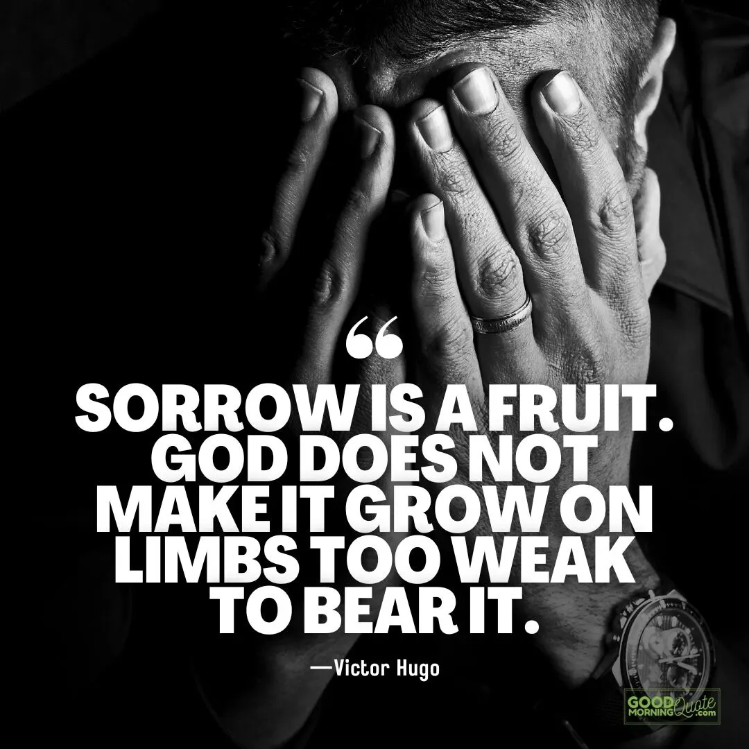 sorrow is a fruit - victor hugo quotes