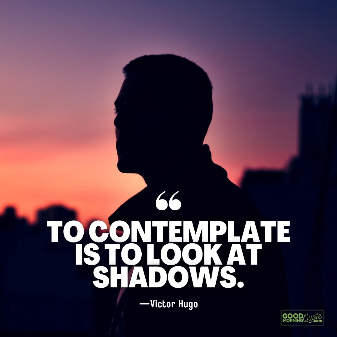 to contemplate is to look at shadows quotes