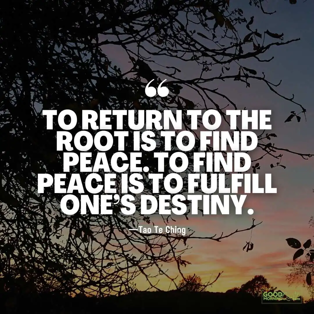 to return to the root is to find peace quote