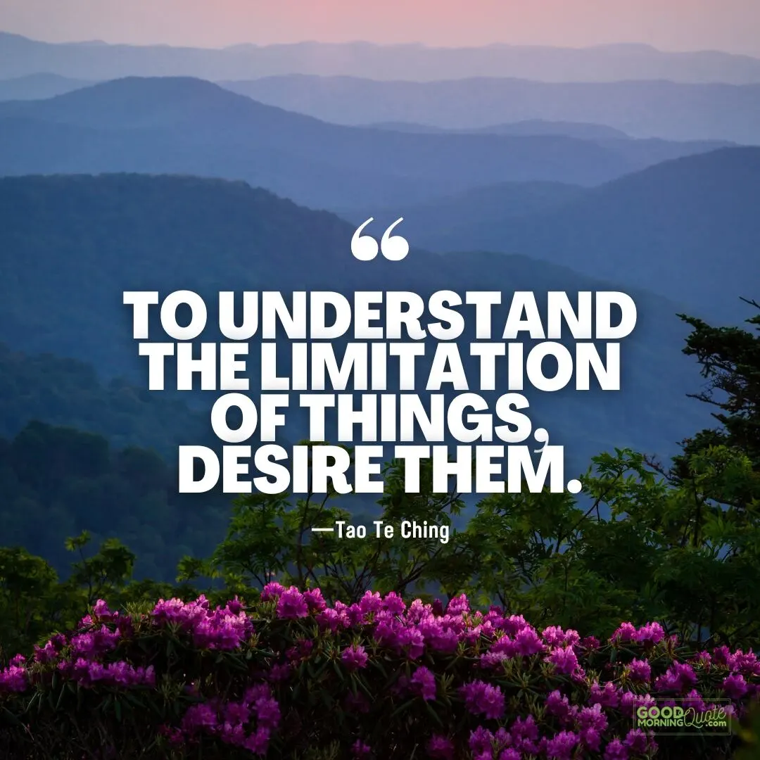 to understand the limitation of things - tao te ching quote