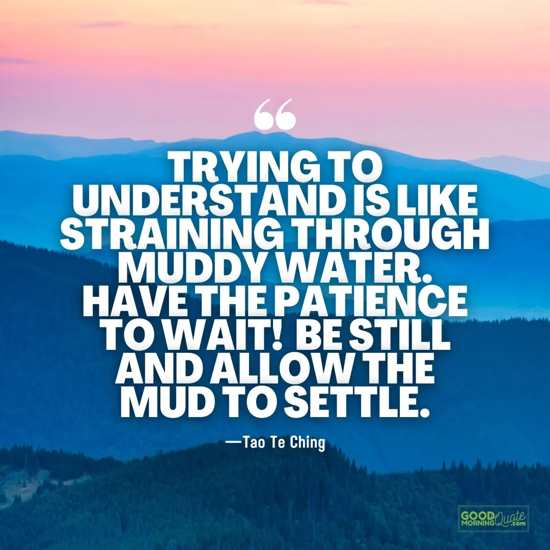 trying to understand is like straining through muddy water quote