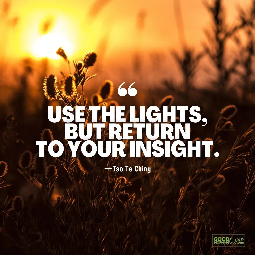 use the lights but return to your insight - tao te ching quote