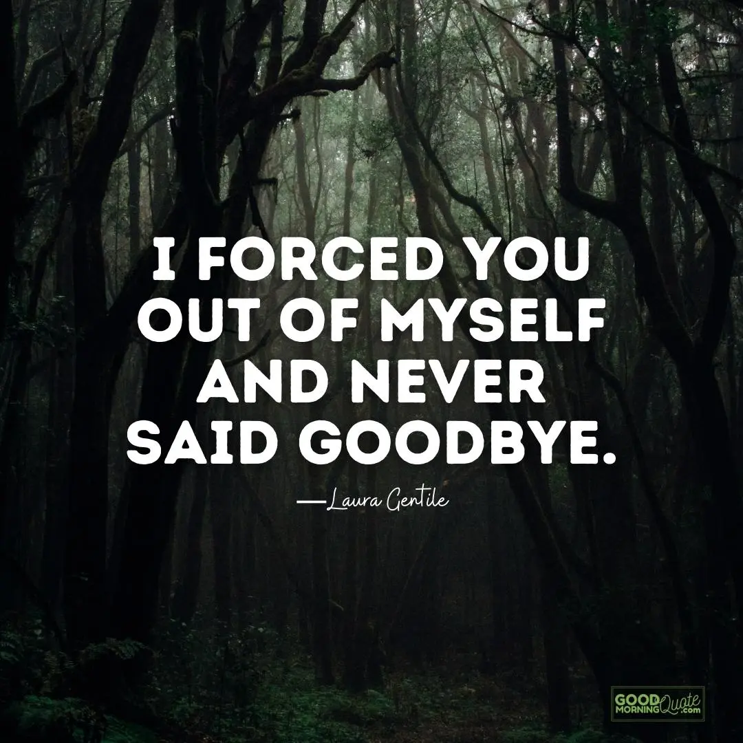 I forced you out of myself and never said goodbye - gaslighting quote