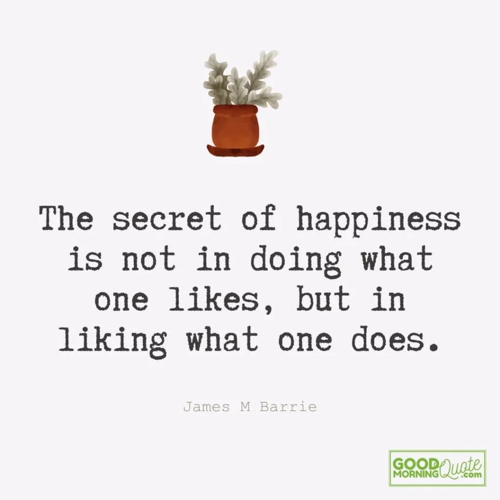 The secret of happiness is liking what one does.