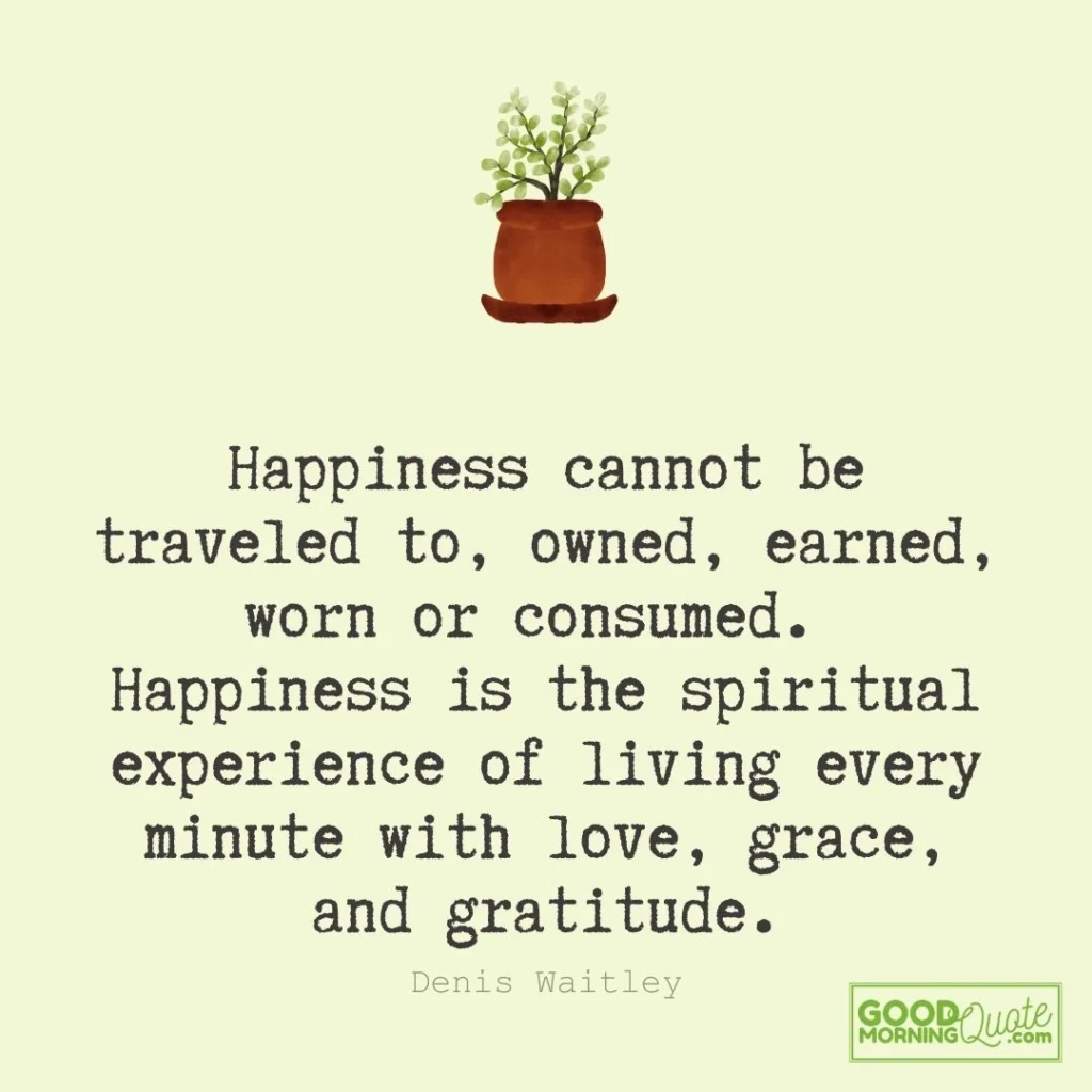Happiness cannot be traveled to, owned, earned, worn or consumed