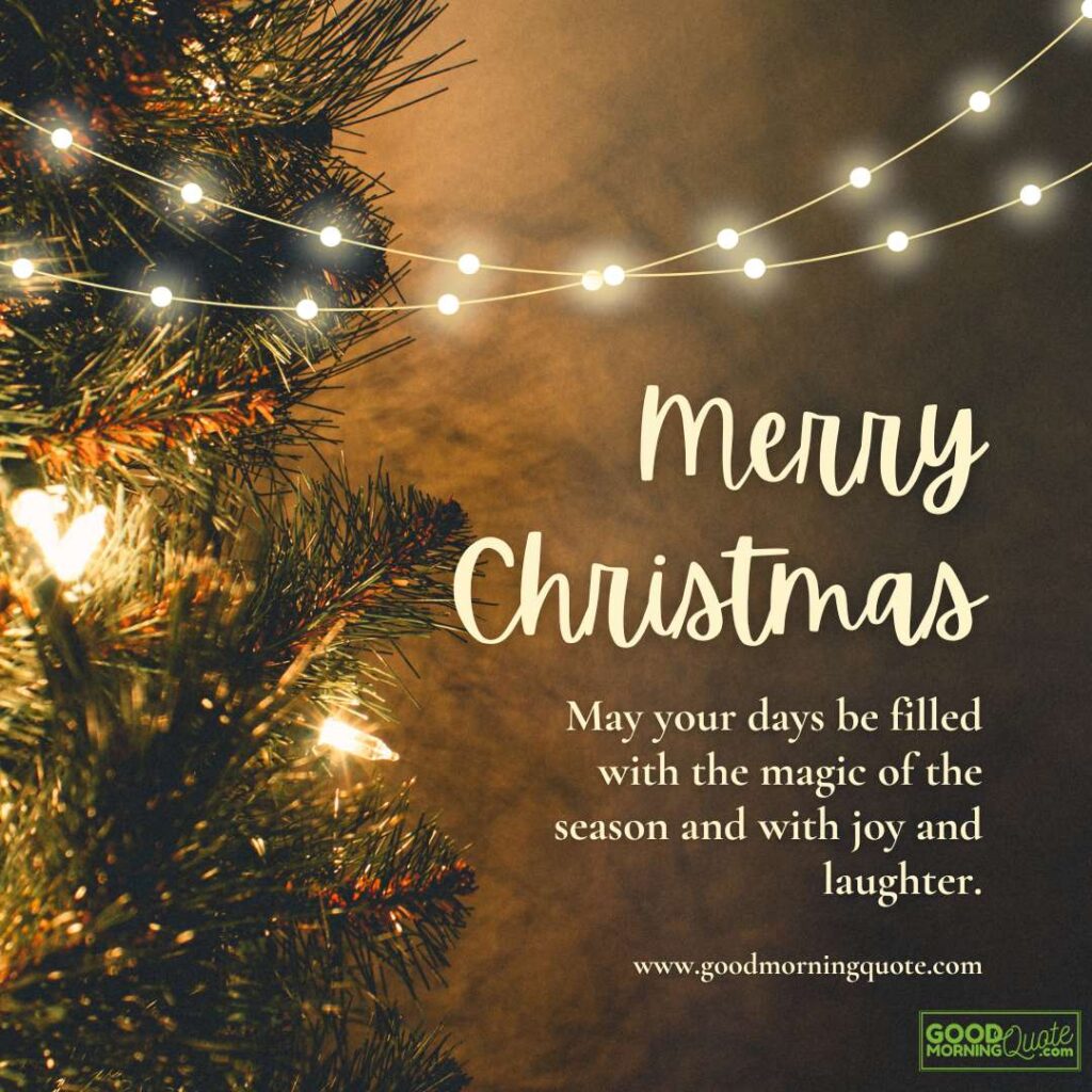 Christmas tree with lights with a Christmas quote that says: Merry Christmas to your dear family!