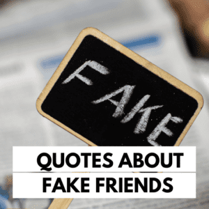 Quotes about Fake Friends with a Fake sign