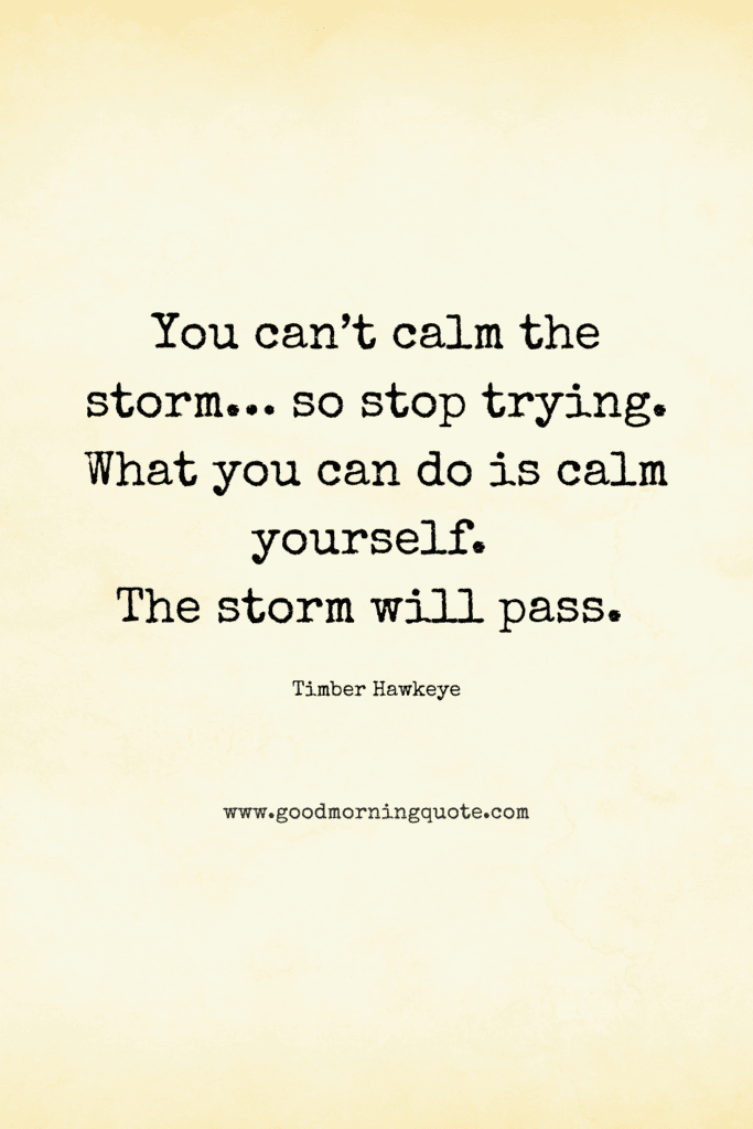 ann inspirational thought "You can’t calm the storm… so stop trying. What you can do is calm yourself. The storm will pass. "
